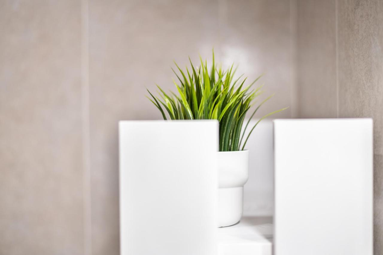 Smart Family In Pisa Apartment Bagian luar foto